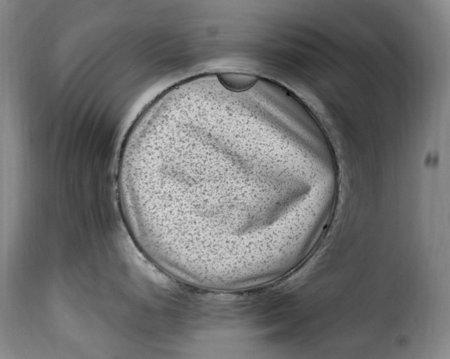 X0000115381248200911241256