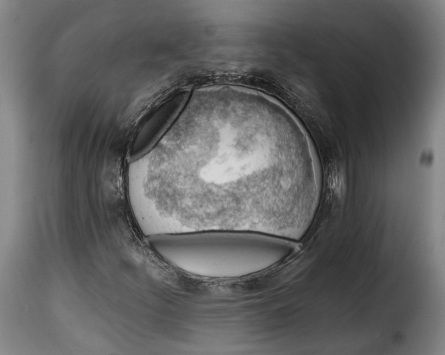 X0000115381252200911241255