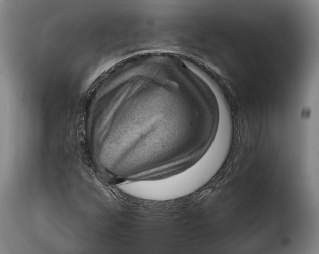 X0000115381255200911241255