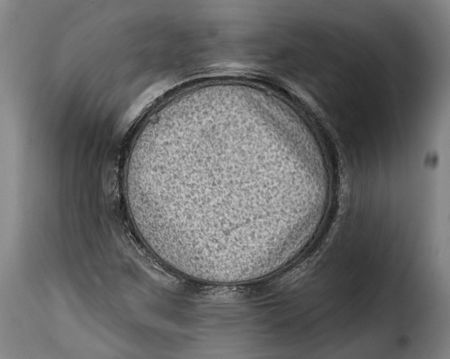 X0000115381259200911241255