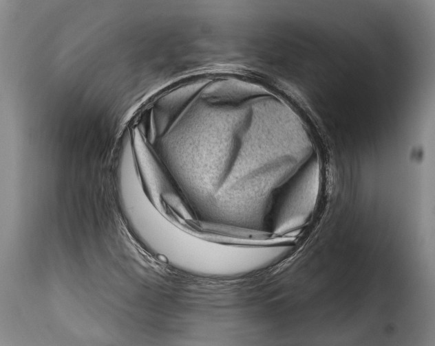 X0000115381260200911241255