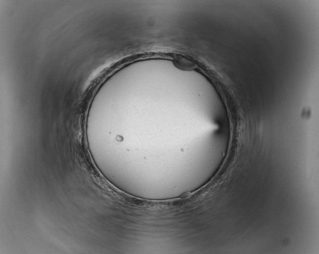 X0000115381262200911241255