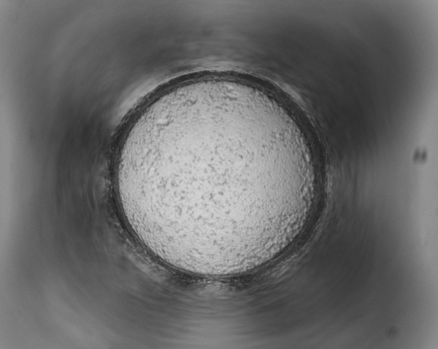 X0000115381263200911241255