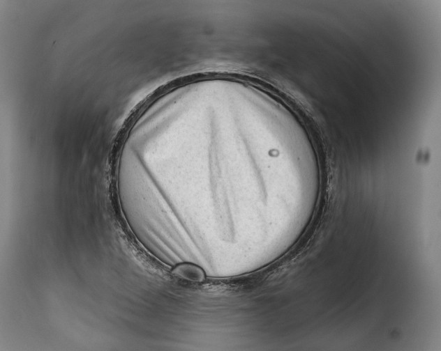 X0000115381264200911241255