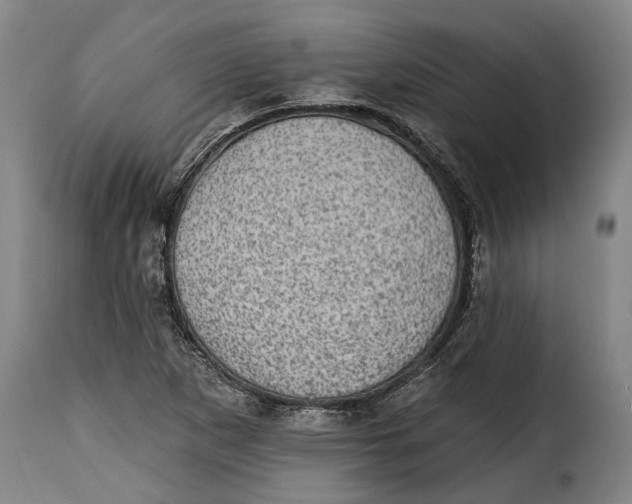 X0000115381265200911241255