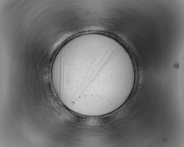 X0000115381266200911241255