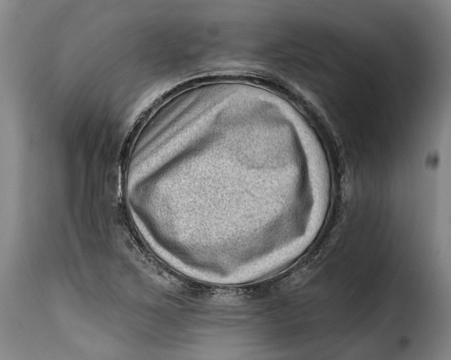 X0000115381267200911241255