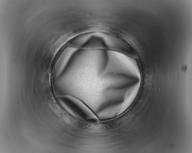 X0000115381268200911241255