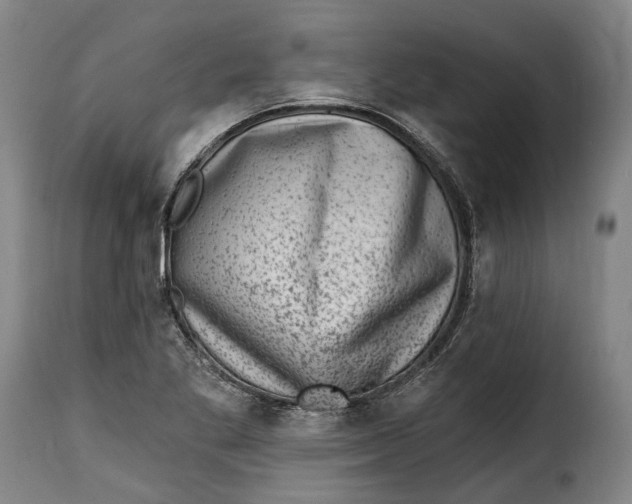 X0000115381269200911241255