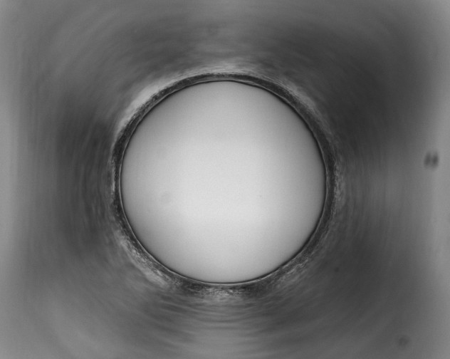 X0000115381270200911241255