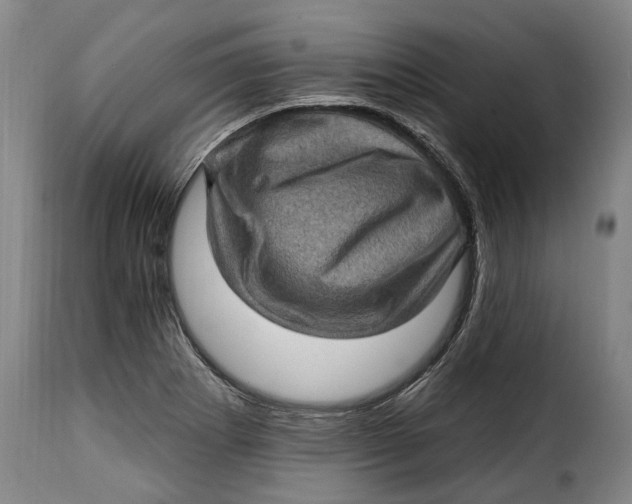 X0000115381273200911241255