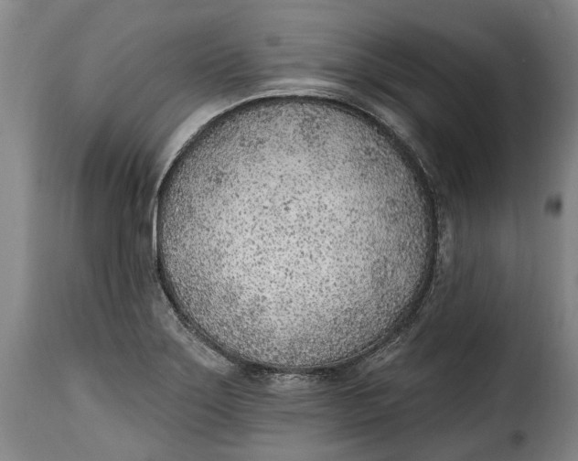 X0000115381275200911241255