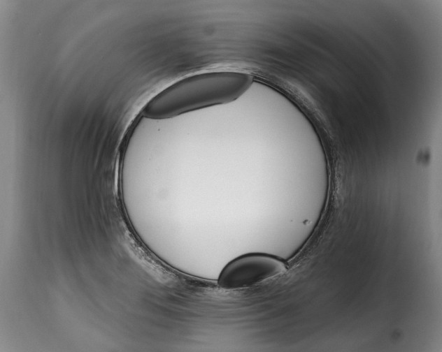 X0000115381276200911241255