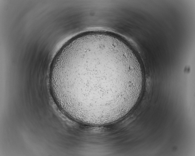 X0000115381279200911241255