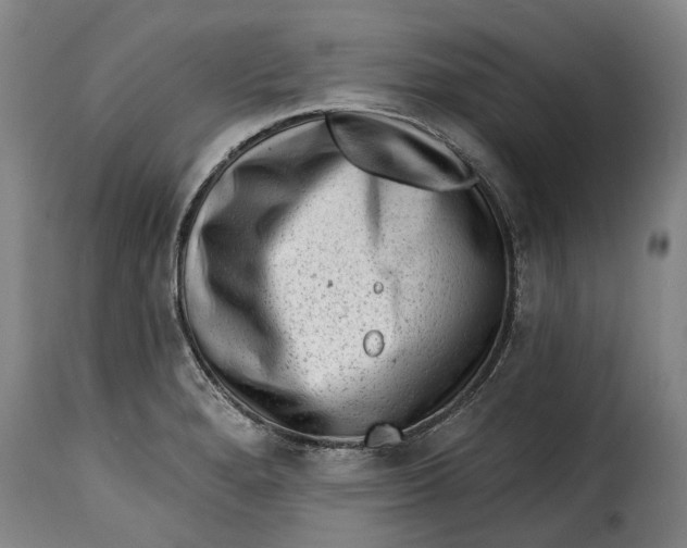 X0000115381280200911241255