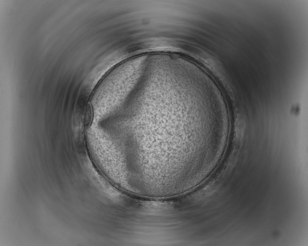 X0000115381281200911241255