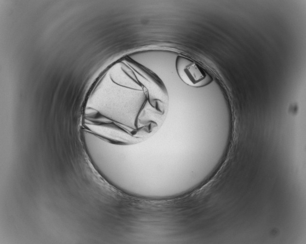 X0000115381284200911241255