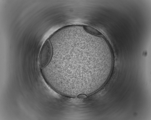 X0000115381285200911241255