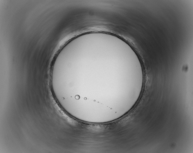 X0000115381286200911241255