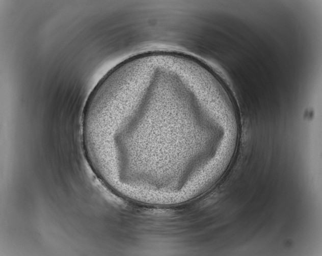 X0000115381287200911241255