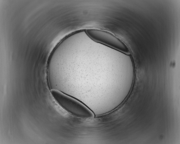 X0000115381288200911241255