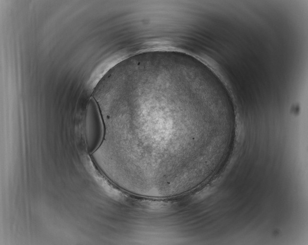 X0000115381289200911241255