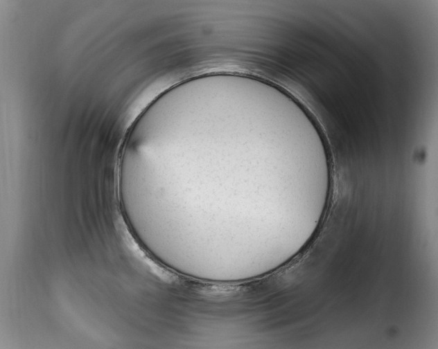 X0000115381290200911241255