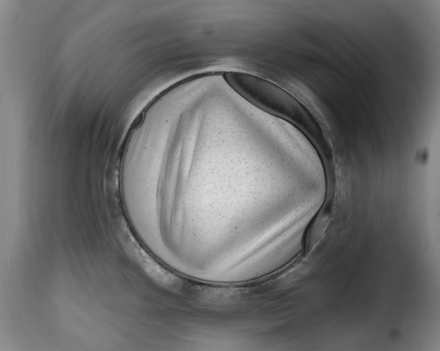 X0000115381292200911241255