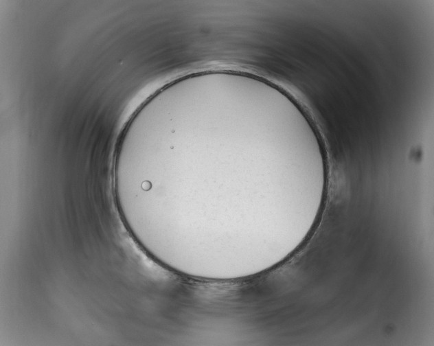 X0000115381294200911241255