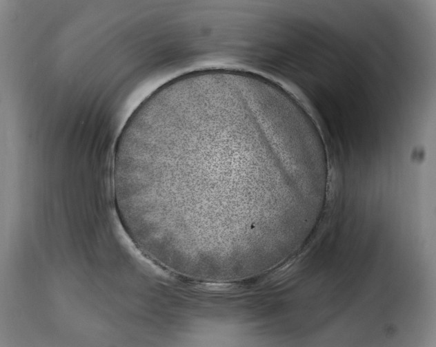 X0000115381295200911241255