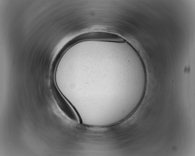 X0000115381296200911241255