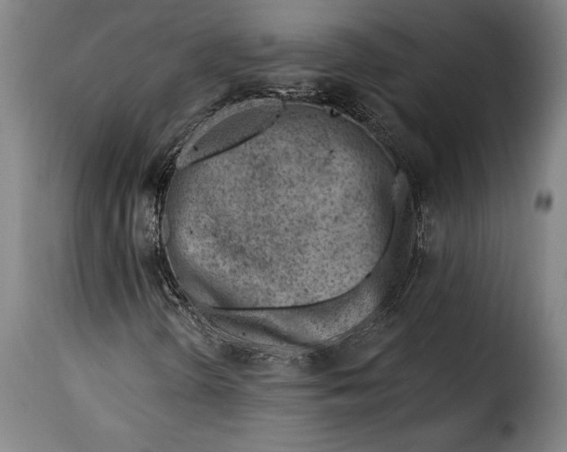 X0000115381298200911241254