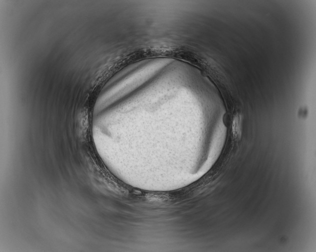 X0000115381299200911241254