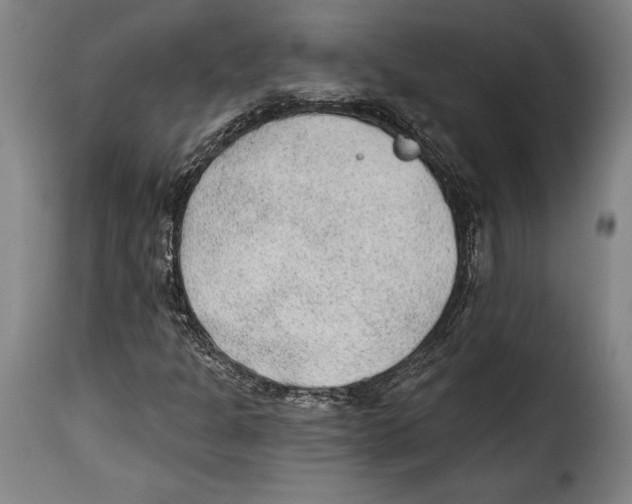 X0000115381301200911241254