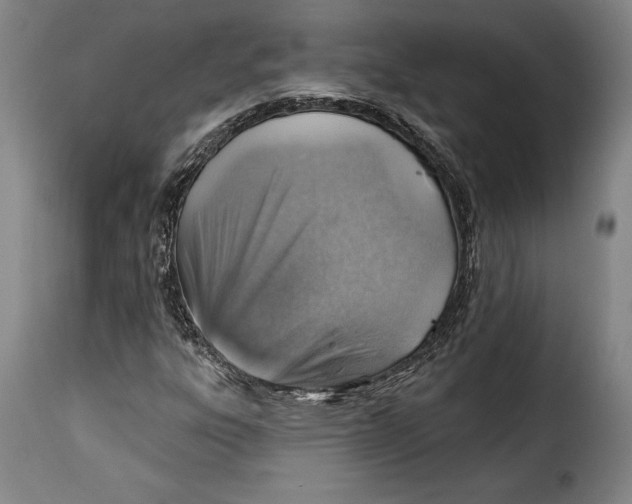 X0000115381303200911241254