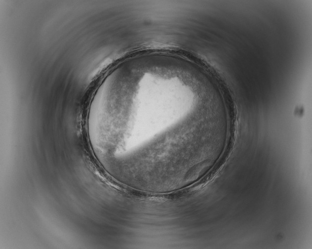 X0000115381306200911241254