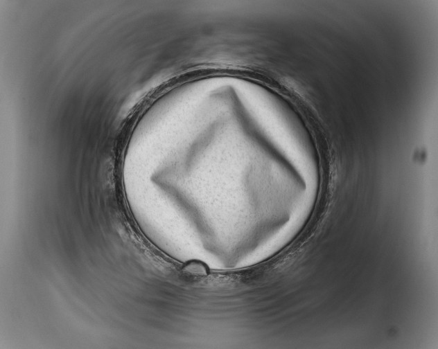 X0000115381307200911241254