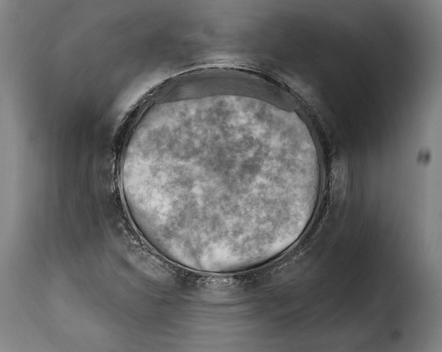 X0000115381310200911241254