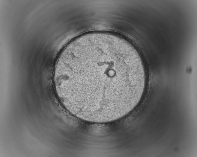 X0000115381314200911241254