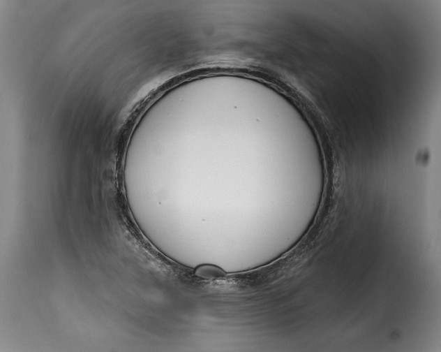 X0000115381315200911241254