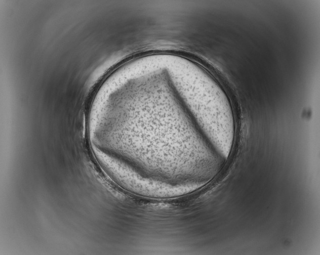 X0000115381317200911241254