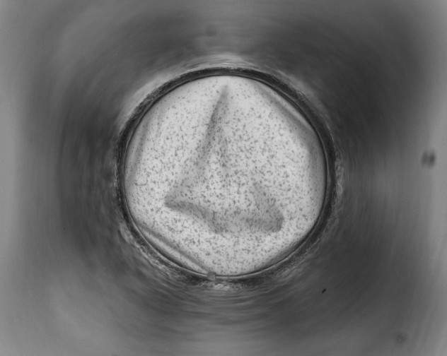 X0000115381318200911241254