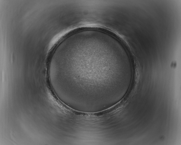 X0000115381319200911241254