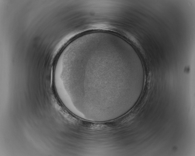 X0000115381323200911241254