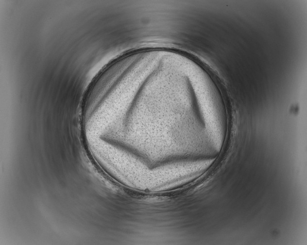 X0000115381325200911241254