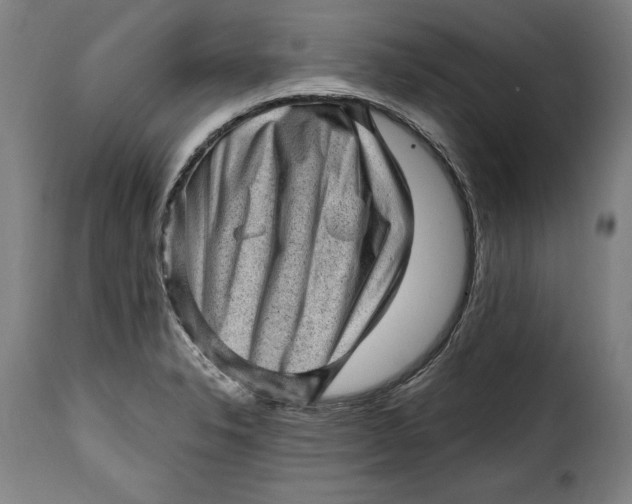 X0000115381326200911241254