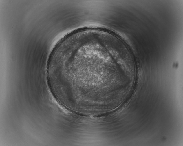 X0000115381327200911241254