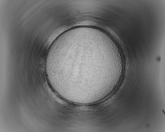 X0000115381329200911241254