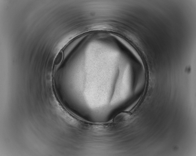 X0000115381330200911241254