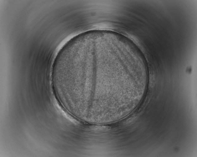 X0000115381331200911241255